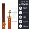 Leather Dog Leash - 4ft Heavy Duty Leather Leash for
