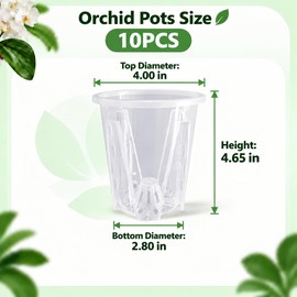 Clear Orchid Pots, 4 inch, 10-Pack