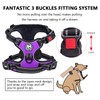 PoyPet No Pull Dog Harness with Neck Buckle, Reflective No