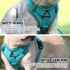 Cat Harness and Leash for Walking, Harnesses for Small Medium