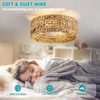 Rattan Ceiling Fans with Light and Remote, Boho Fandelier Ceiling