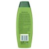Palmolive Silky Shine Aloe Shampoo by Palmolive