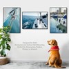 Plexon 24x36 Poster Frame Large Picture Frame for Wall Black