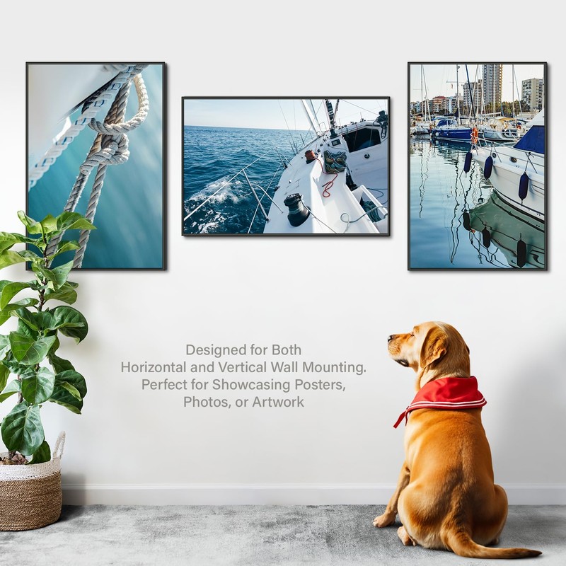 Plexon 24x36 Poster Frame Large Picture Frame for Wall Black