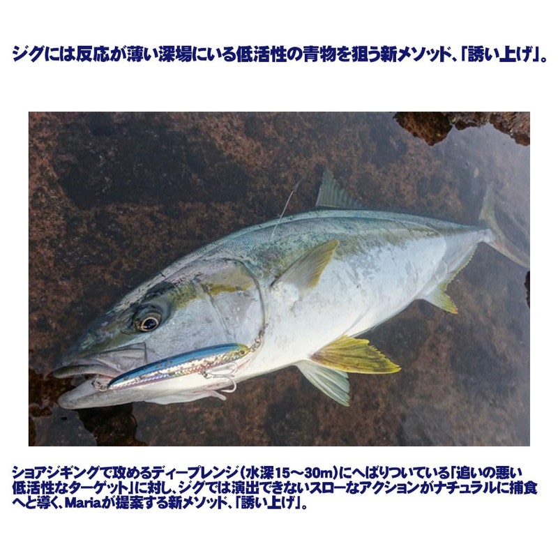 Yamashita 612714 Sardine S130 B02D Lure, Relise