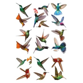 19 Pieces Anti-Collision Window Clings Bird Alert Collision Decals to Prevent Bird Strikes on Window Glass,Bird Stained Glass Clings,for Home, Kitchen, Kids Room Decor, Friends and Kid