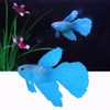 Artificial Aquarium Fishes Plastic Gold Fish Moving Floating Fish Artificial