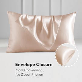 Candoury Satin Silk Pillowcase for Hair and Skin, King Size Set of 2 Pillow Cases, Soft Silky Pillow Covers 2 Pack with Envelope Closure (20x40,Champagne )