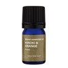 Daily Delight Essential Oil Set, 0.1 fl oz (3 ml)