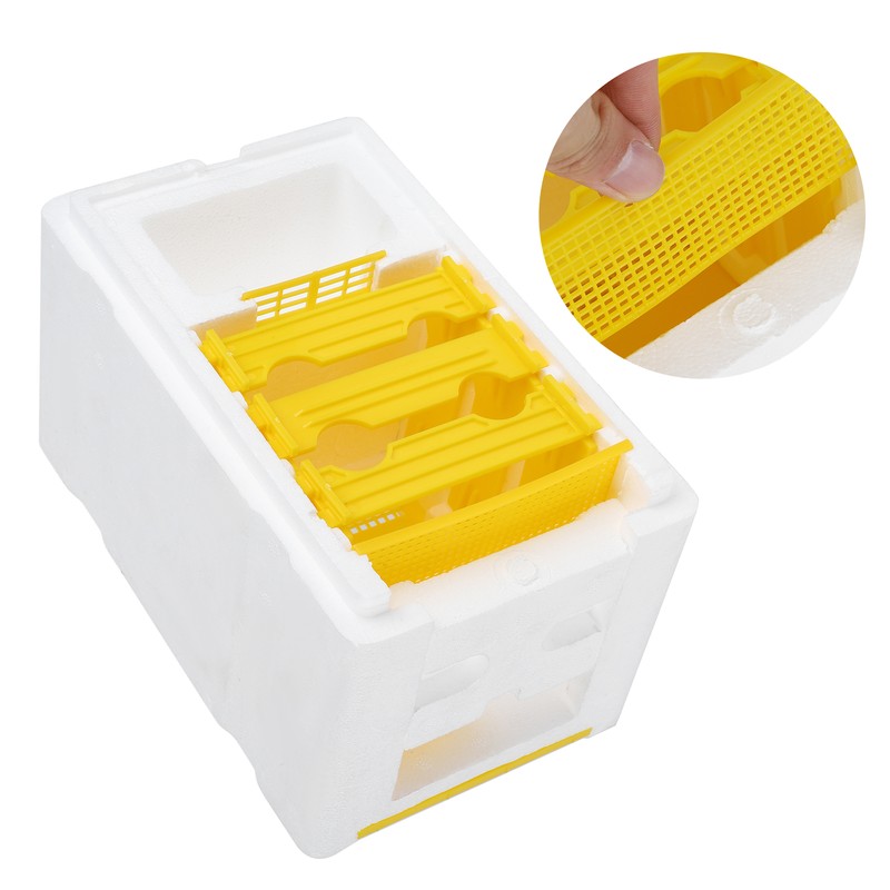Queen Bee Mating Box Foam Breeding Rearing Copulation Accessory Beekeeping