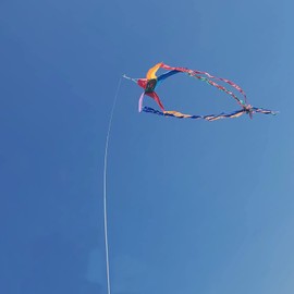 EEZ RV Products 23FT Telescoping Wind Sock Pole, Adjustable and Easy to Assemble, Great for RV Ladder Mount Windsocks, Spinners, and Kites.(Pole Only)