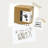 Kishima KH-61250 Artificial House Plants, Fake Green, Artificial Plants, Never