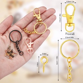 Moxweyeni 250 Pieces Key Chain Rings Key Chain Lobster Claw Clasps Keychain Rings for Hanging Include 35 Swivel Snap Clasps 35 Keychain Rings with Open Jump Rings and 180 Screw Eye Pins
