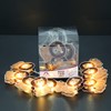 Sleep Sakes Indoor String Light 10 LED - Lion