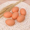 Omevett 6pcs Fake Chicken Eggs Wooden Eggs for Crafts Arts
