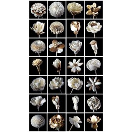 Fulllight Set of Natural Material Sesbania Pine and Hyacinth Wood Flower Diffuser 10 Pieces, Reed Diffuser Rattan and Sesame Wood & Handmade Ceramic vases for Aroma diffused or Decorative (FL09)