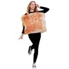 Seasons Adult Toast Costume