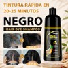 Black Hair Dye Shampoo 3 in 1, Shampoo Tinte Cubre