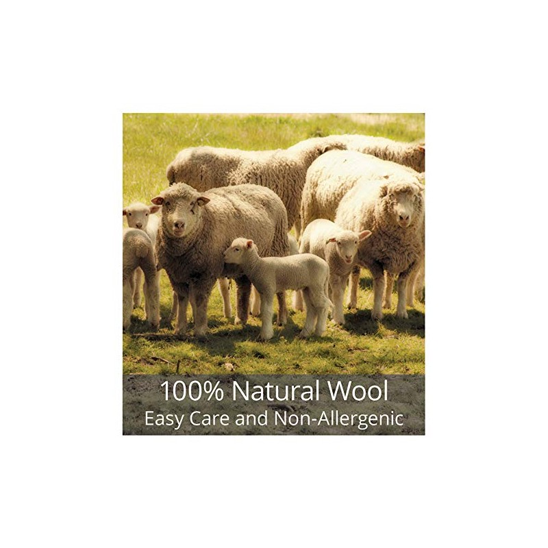 Chandler 4 Corners Artist-Designed Merry Christmas Hand-Hooked Wool Decorative Petite