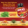 Stinging Nettle Extract Capsules with Boswellia, Turmeric & Saw Palmetto