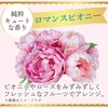 Mandame Diaflora Oil In Hand & Nail Cream, Romance Peony,