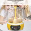 4 Eggs Incubator Temperature Humidity Control Visual Low Noise Energy