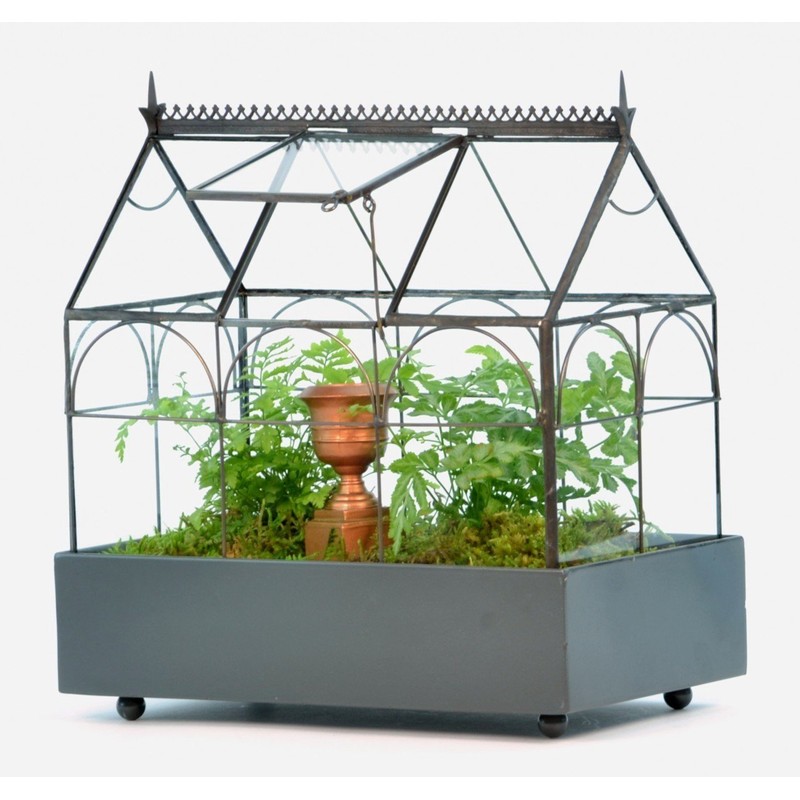 H Potter Glass Terrarium Plants Succulent Container Wardian Case Planter