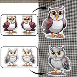 Screen Door Magnets Decal 2 Pairs (4pcs) Cute Owl Pattern Decorative Flexible Double Sided Magnetic Stickers Patches for Window Screen Sliding Screen Doors Protector, Helps to Keep Pet & People Safe