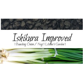 Fast-Growing Bunching Onion Seeds - "Ishikura Improved" - Liliana's Garden - USA Grown Heirloom Seeds