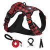NESTROAD No Pull Dog Harness with Leash, Reflective No Choke