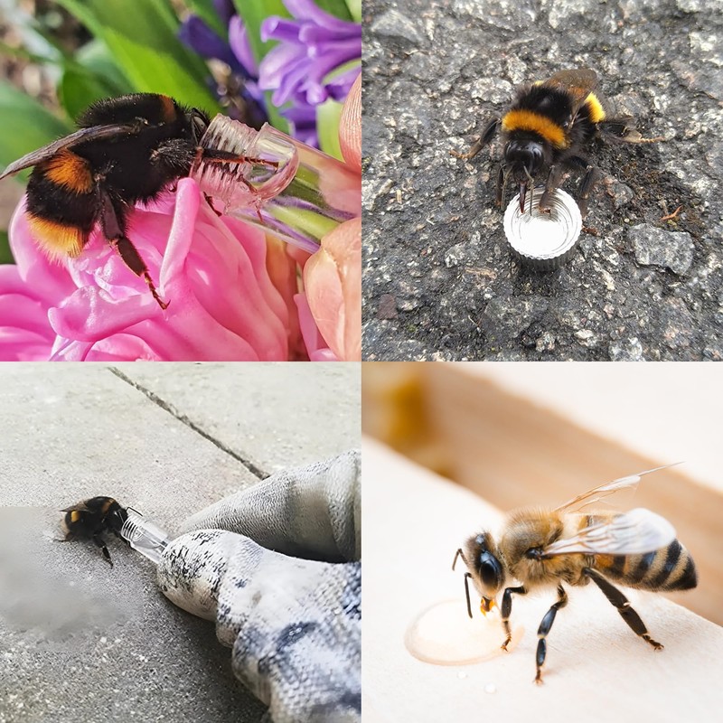 Revive a Bee Gold Bee Revival Kit A Keyring with