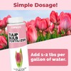 Tulip Bulb Fertilizer, Complete Liquid Tulip Bulb Plant Food, 8