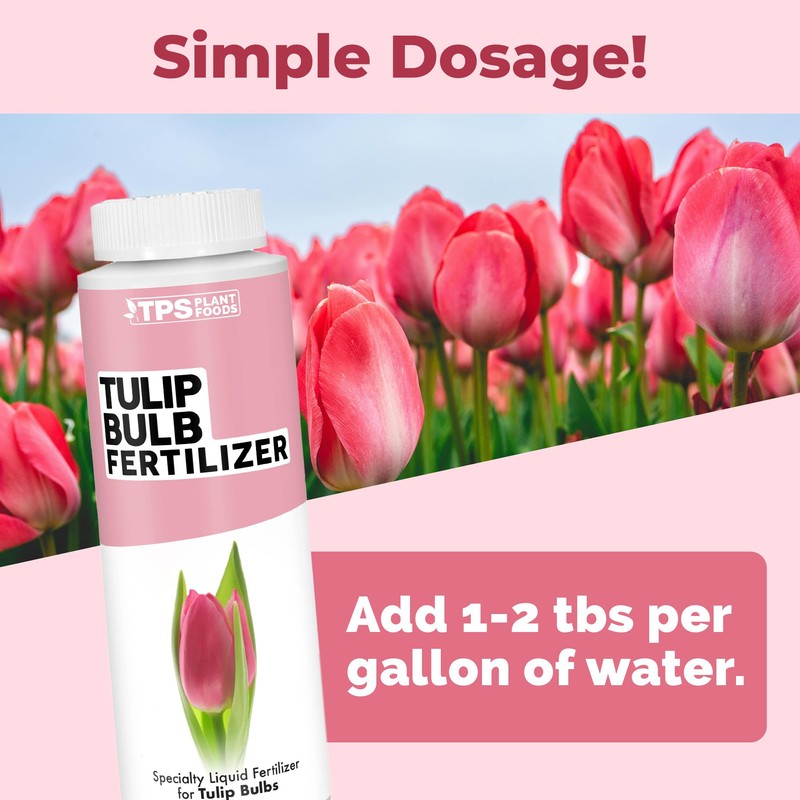 Tulip Bulb Fertilizer, Complete Liquid Tulip Bulb Plant Food, 8
