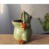 MONMOB Ceramic Frog Shaped Plant Pot Bonsai Flower Pot ucculent