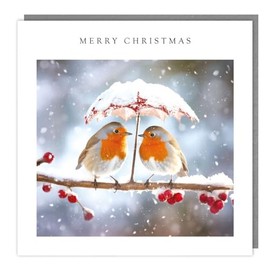 General Christmas Card - Robins Under a Snowy Umbrella - Festive Design - Made in the UK - Eco-Friendly