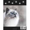  Purr-fect Positivity: 75 Days of Feline Affirmations (Motivational Books)
