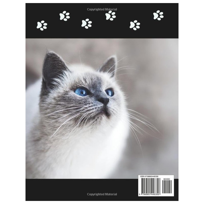  Purr-fect Positivity: 75 Days of Feline Affirmations (Motivational Books)