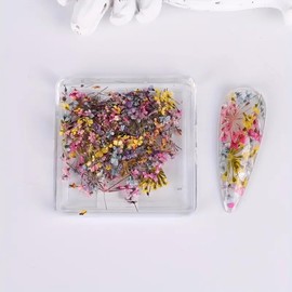 3D Dried Flower for Nails, Flower Nail Art Stickers 1Box Mixed Dried Flowers for Nail Art Resin DIY Crafts Natural Real Dry Flower Decals for Spring Summer Manicure Nail Art Decorations (Style3)