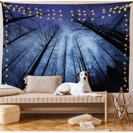 Lunarable Cielo Nocturno Tapiz, Estrellas del Cielo Estrellado de Invierno, Decoración de Pared para Dormitorio Sala de Estar residencia universitaria, 104" X 88", Azul Marino Negro