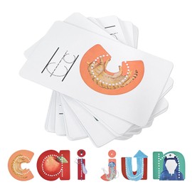 Lit Letters Flash Cards - Embedded Pictograph Mnemonics - 26Pcs Preschool Alphabet Learning Tool, Learn Letter Sounds up to 2X Faster with Educational Early Learning Flashcards