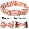 ARING PET Fall Dog Collar with Bow, Cute Autumn Tiny