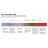 Paul Mitchell The Demi Color Gloss- Violet 177ml