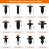 Flytuo 245PCS Bumper Retainer Clips Car Plastic Rivets Fasteners Push