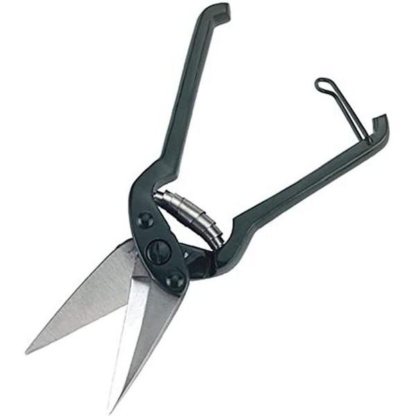 Foot-rot Shears (without teeth)