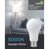 NEOROSS Upgraded Timer Light Bulb, 100W Equivalent A19 LED with