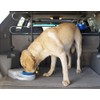 Heininger PortablePET 3059 Waterboy Travel Water Bowl for Pets (Clear),