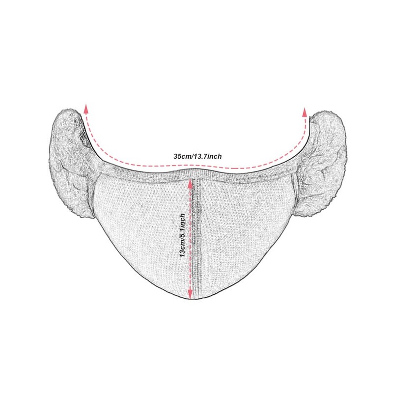 TecHong Unisex Winter Warm Windproof Mask with Fluffy Ear Covers