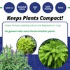 Jack's Professional 15-5-15 CA-MG LX Comprehensive Water-Soluble Fertilizer for Growth