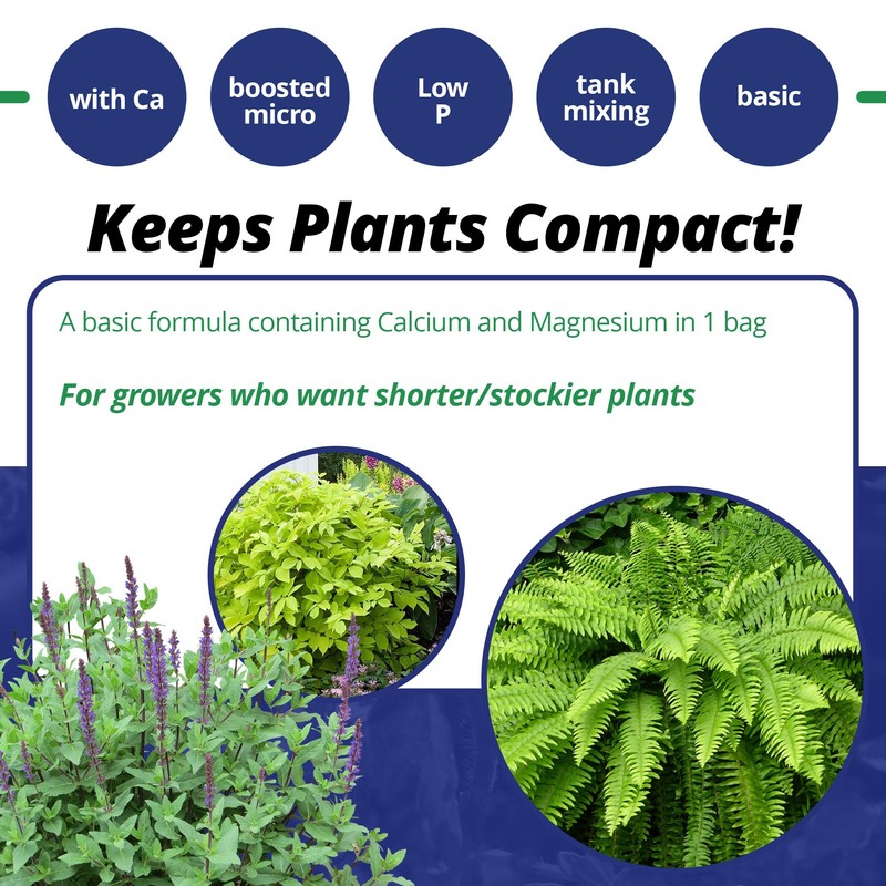 Jack's Professional 15-5-15 CA-MG LX Comprehensive Water-Soluble Fertilizer for Growth