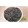 Professional Bonsai Fertilizer 16-4-8 by Prorganics (6 Months nutrients Supply)